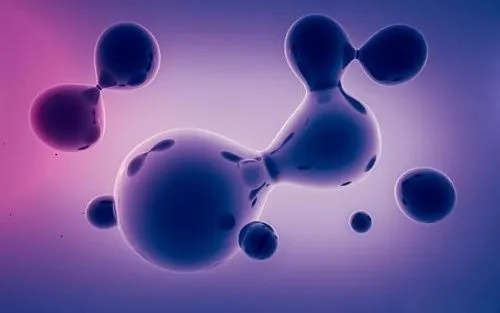 生物酶的作用 生物酶的作用