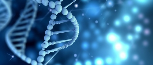 生物菌肥知識(shí)介紹 生物菌肥知識(shí)介紹